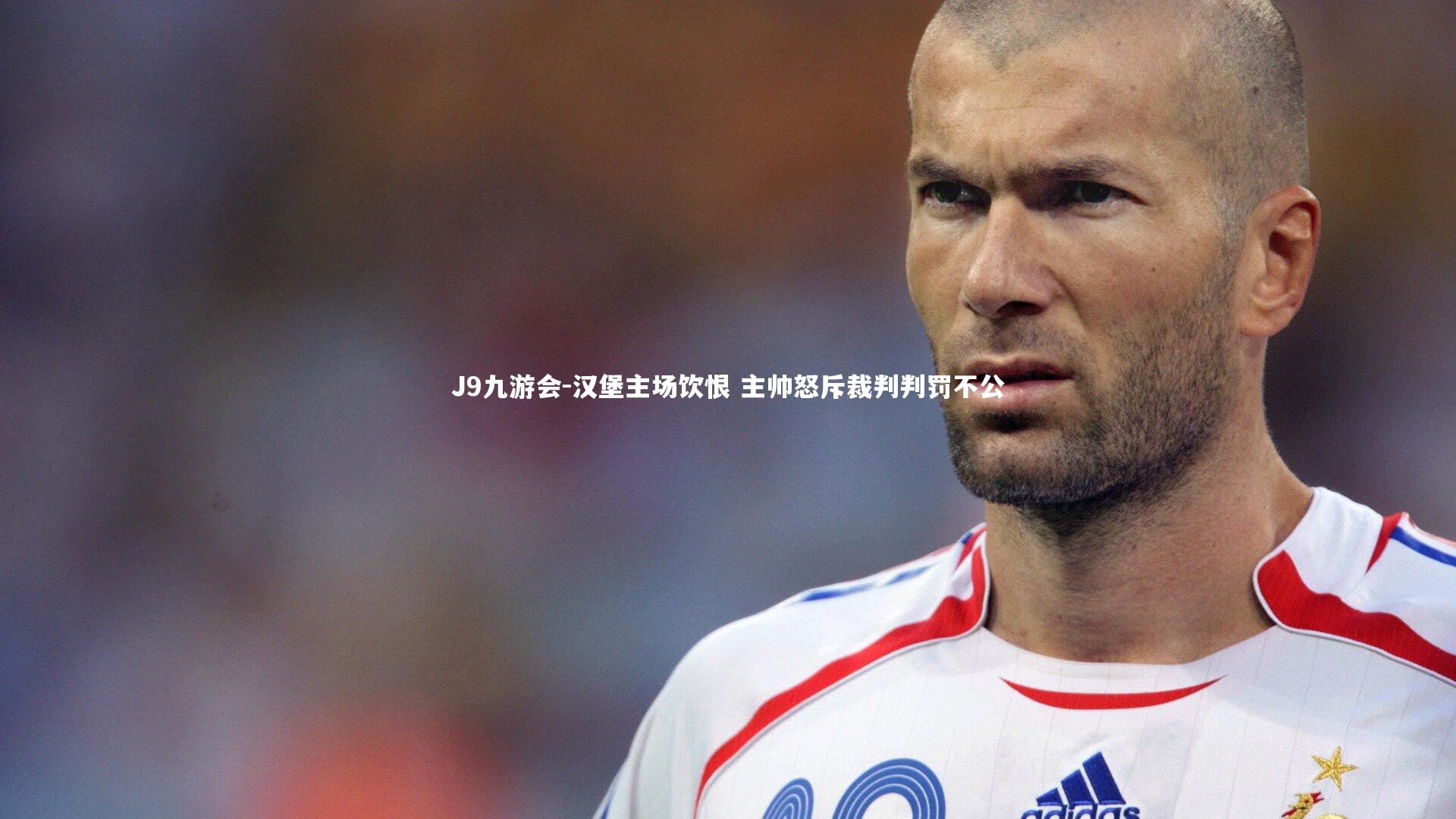 汉堡主场饮恨 主帅怒斥裁判判罚不公
