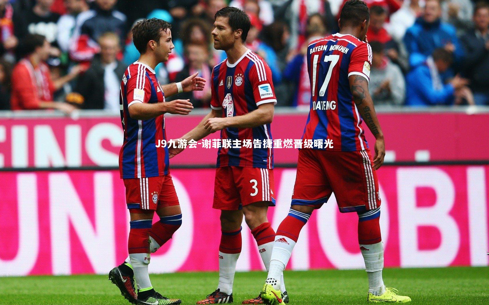 谢菲联主场告捷重燃晋级曙光